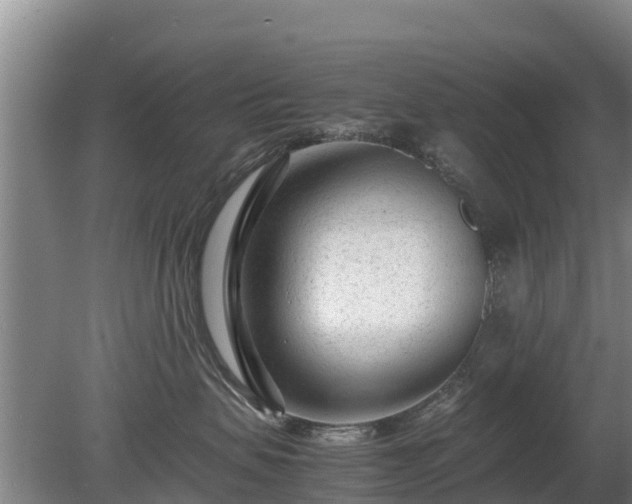 X0000080120479200612151717