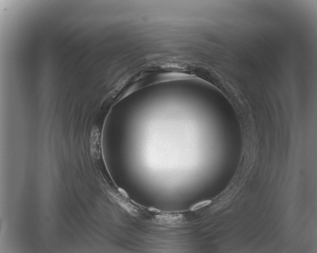 X0000080120480200612151717