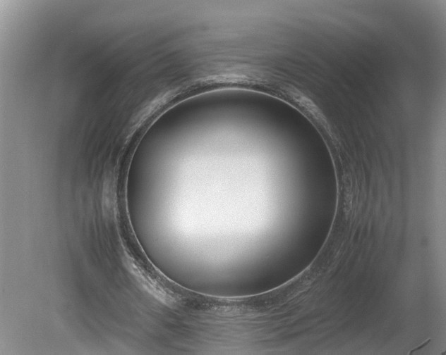 X0000080120482200612151716