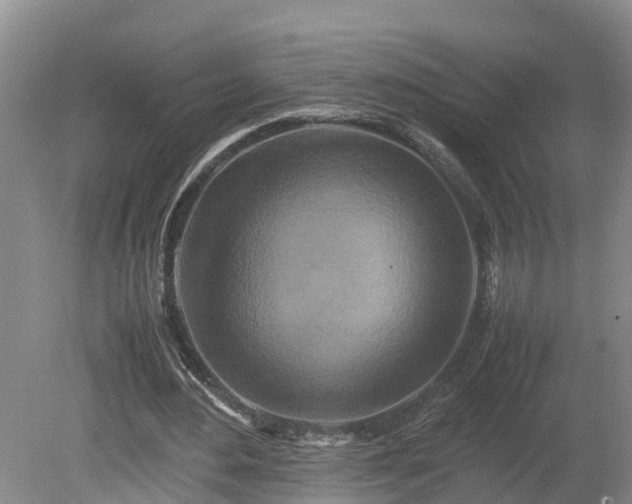 X0000080120484200612151716