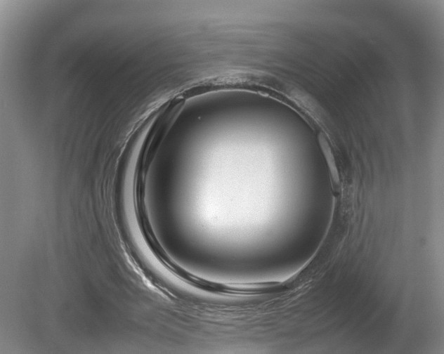 X0000080120485200612151716