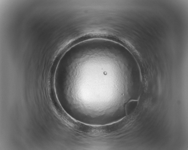 X0000080120487200612151716
