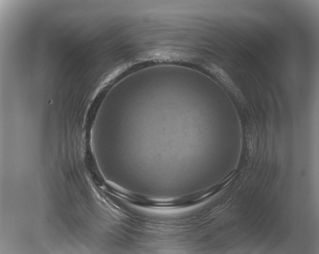 X0000080120488200612151716