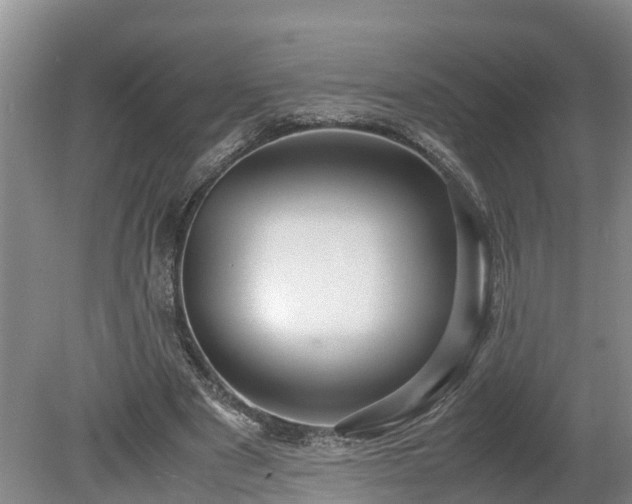 X0000080120489200612151716