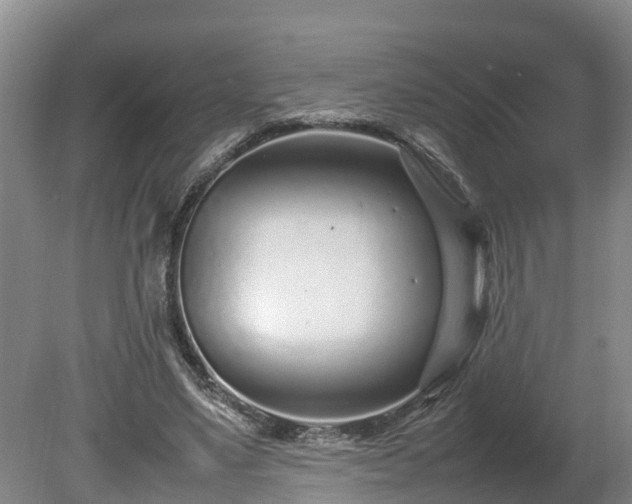X0000080120491200612151716