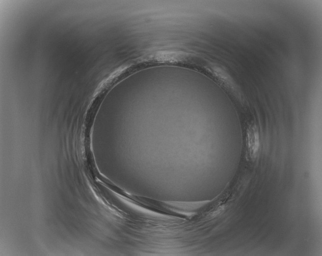 X0000080120492200612151716