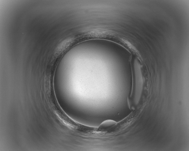 X0000080120493200612151716