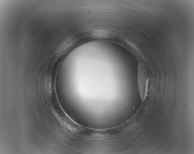 X0000080120494200612151716
