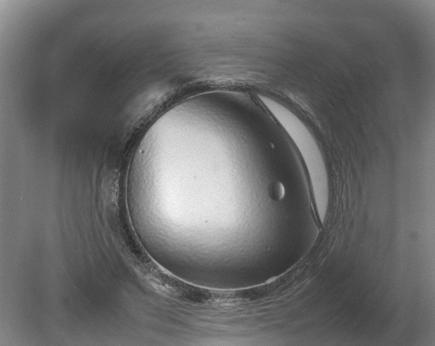 X0000080120495200612151716