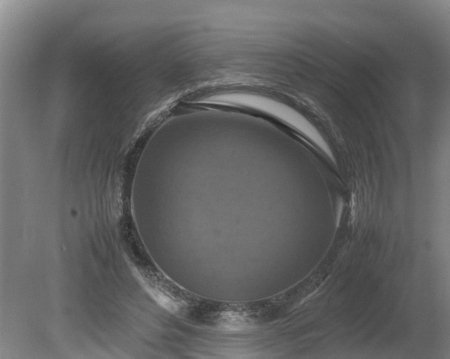 X0000080120496200612151716