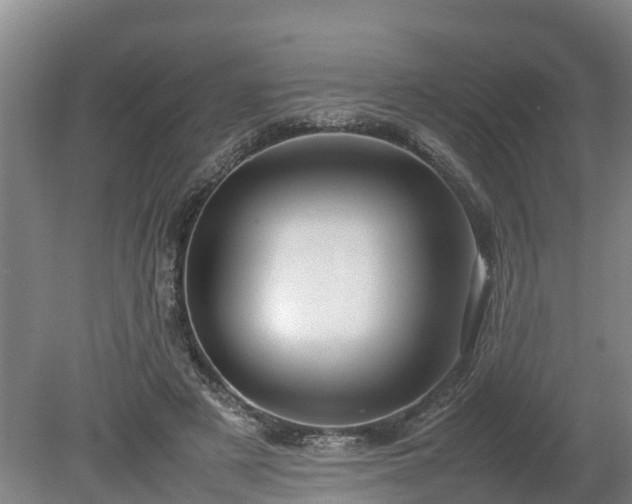 X0000080120497200612151716