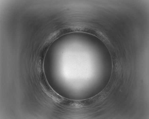 X0000080120498200612151716