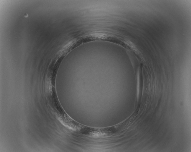 X0000080120500200612151716
