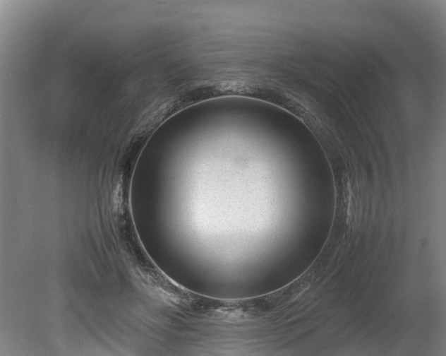 X0000080120502200612151716