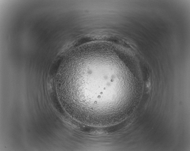 X0000080120503200612151716