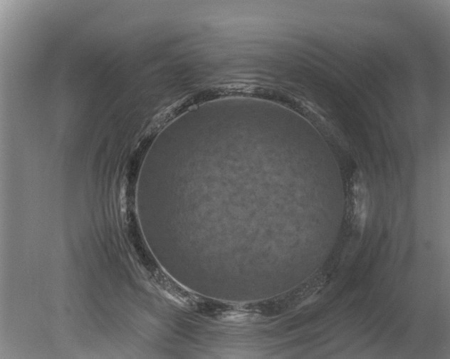 X0000080120504200612151716