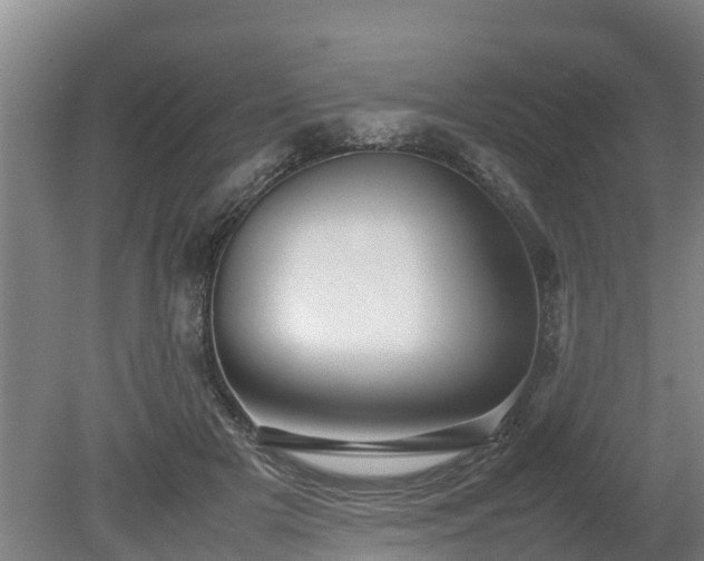 X0000080120505200612151716