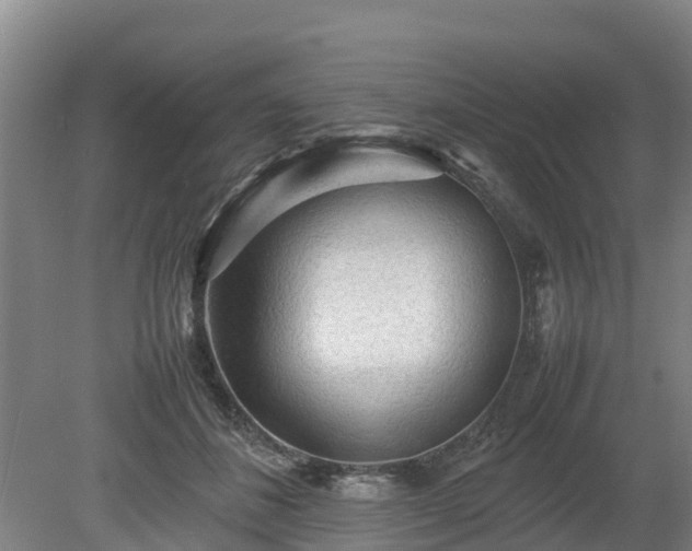 X0000080120508200612151716