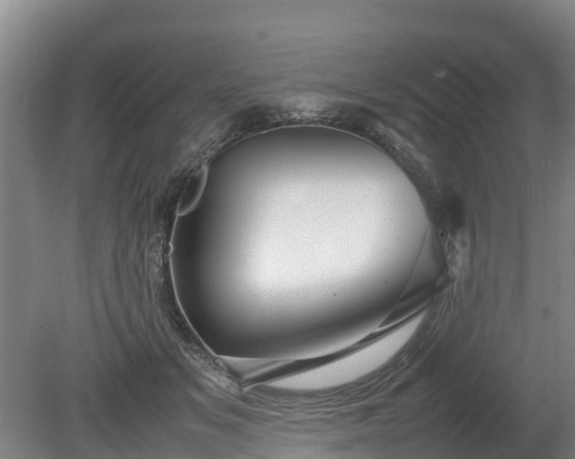 X0000080120509200612151716