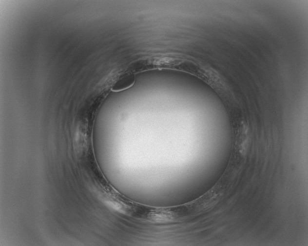 X0000080120510200612151716