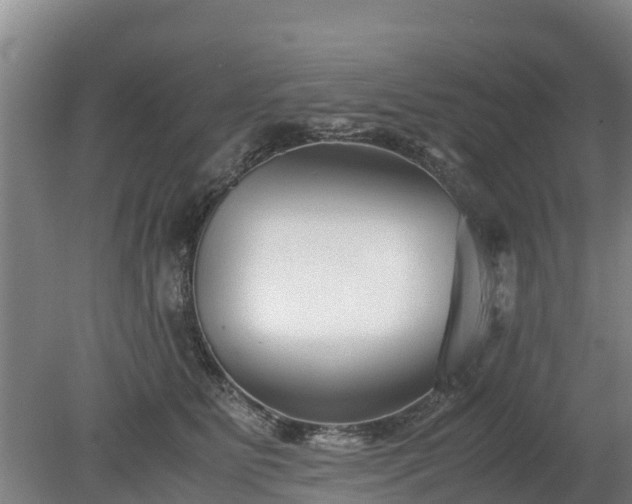 X0000080120515200612151716