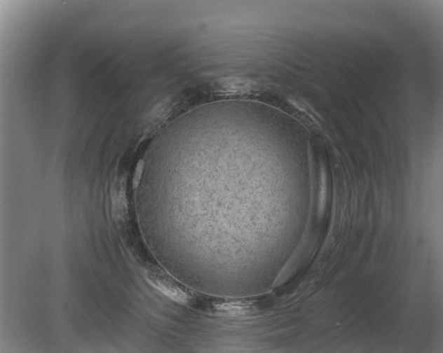 X0000080120516200612151716