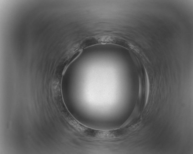 X0000080120521200612151716