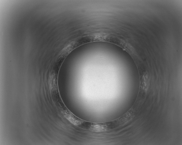 X0000080120522200612151716