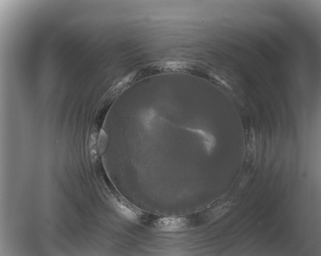 X0000080120526200612151716