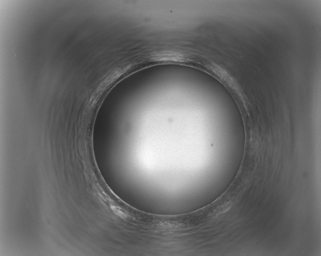 X0000080120529200612151715