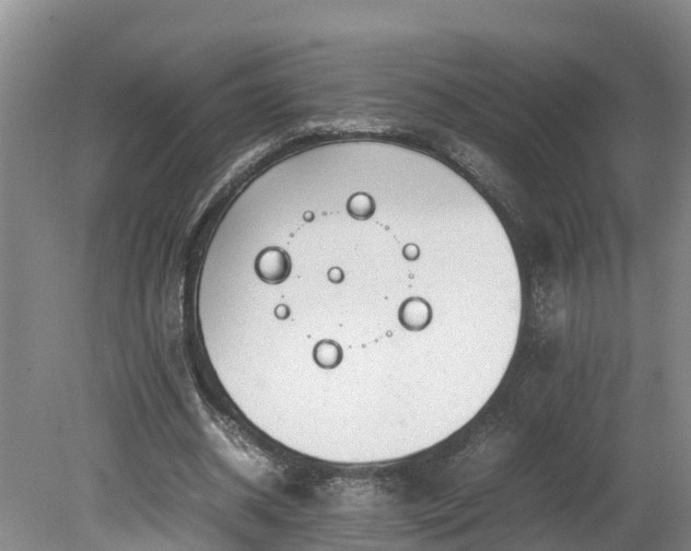 X0000080120534200612151715