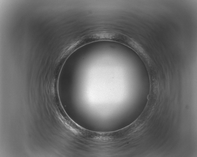 X0000080120537200612151715