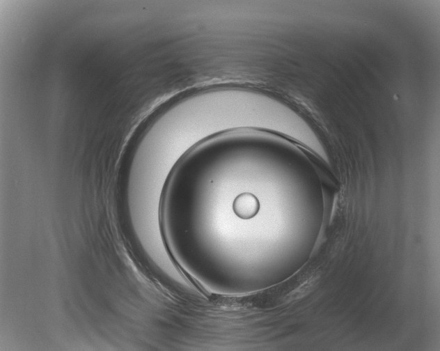 X0000080120540200612151715