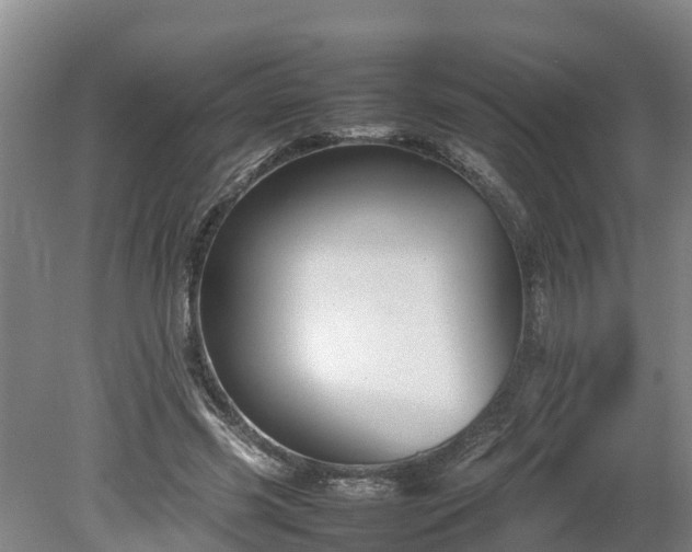 X0000080120541200612151715