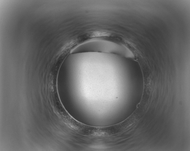 X0000080120547200612151715
