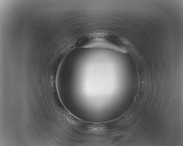 X0000080120555200612151715