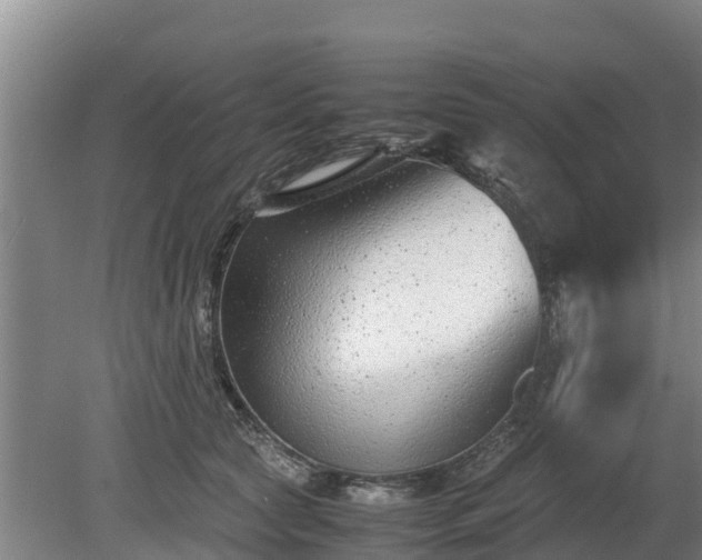 X0000080120561200612151715