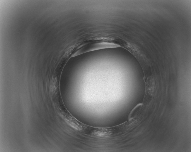 X0000080120563200612151715