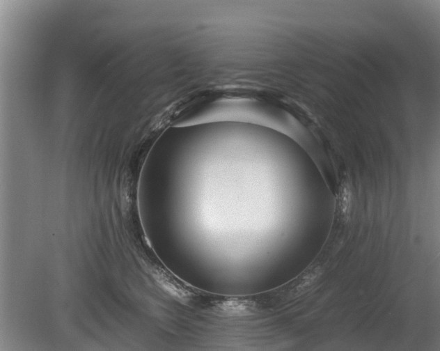 X0000080120566200612151715