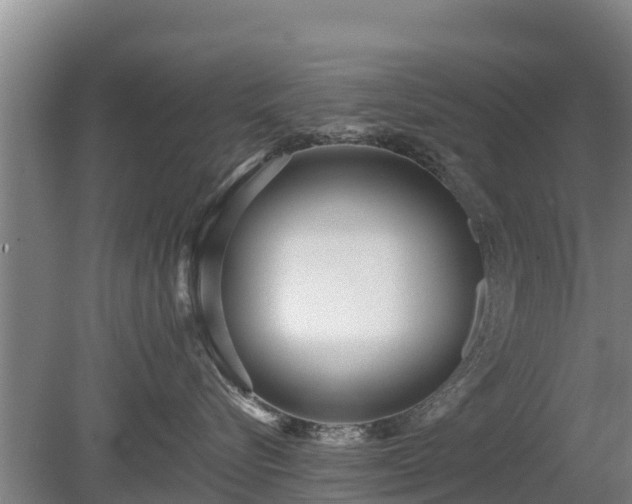 X0000080120576200612151716