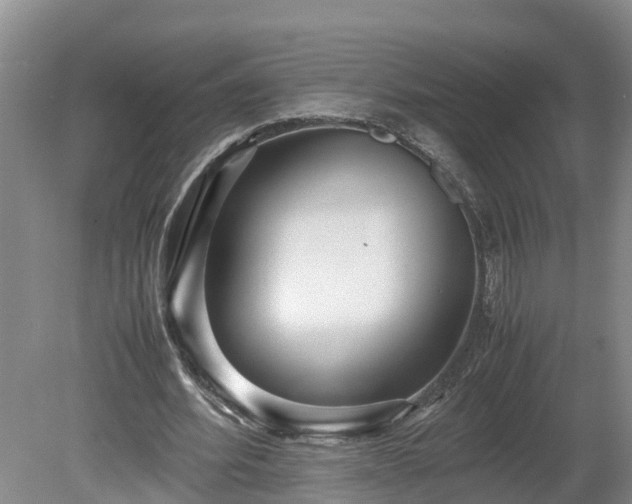 X0000080120580200612151715
