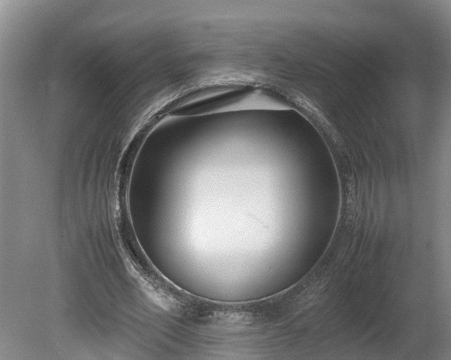 X0000080120582200612151715
