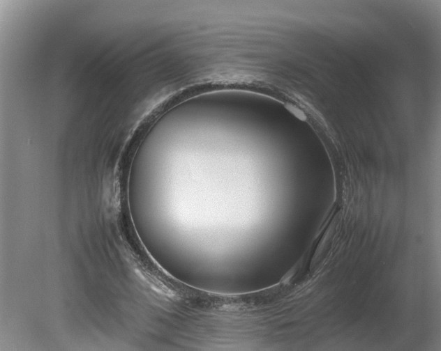 X0000080120584200612151715