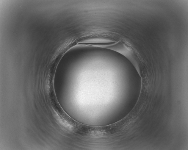 X0000080120586200612151715