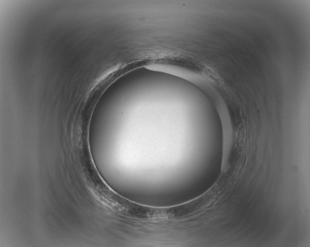 X0000080120587200612151715
