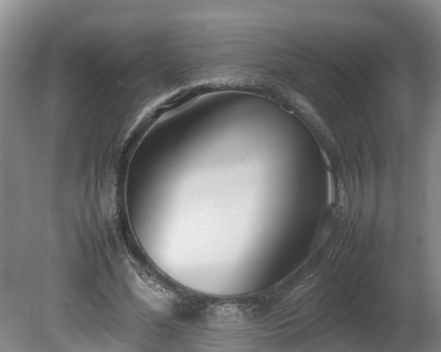 X0000080120588200612151715