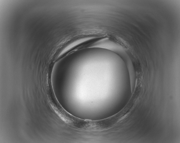X0000080120589200612151715