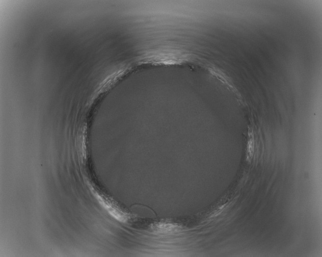 X0000080120590200612151715