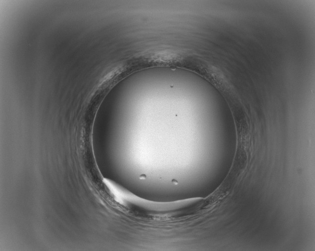 X0000080120591200612151715
