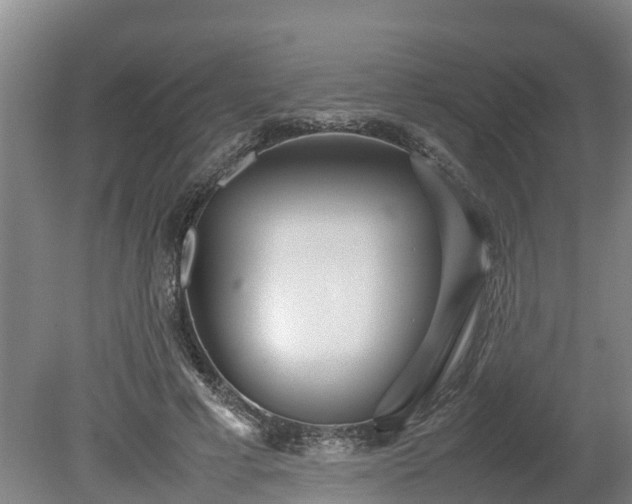 X0000080120593200612151715